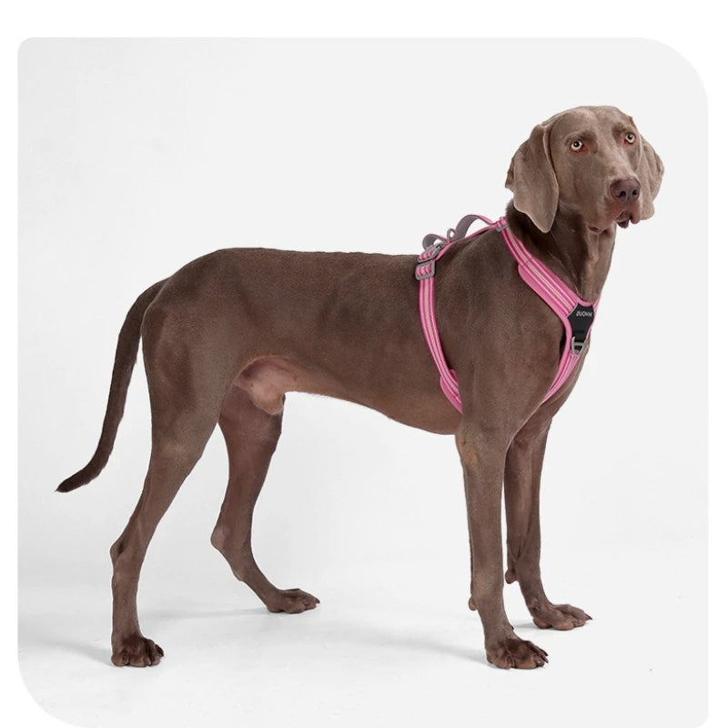 Easy On/Off No-Pull Dog Harness, Quick Release Buckle & Dual Handle, Reflective Adjustable Vest for Walking and Car Safety