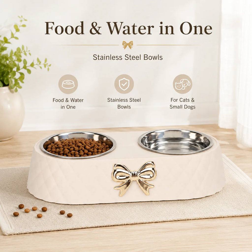 Double Stainless Steel Pet Bowl for Cats and Small Dogs, Food and Water Bowl Set with Anti-Slip Base and Cute Bow Accent
